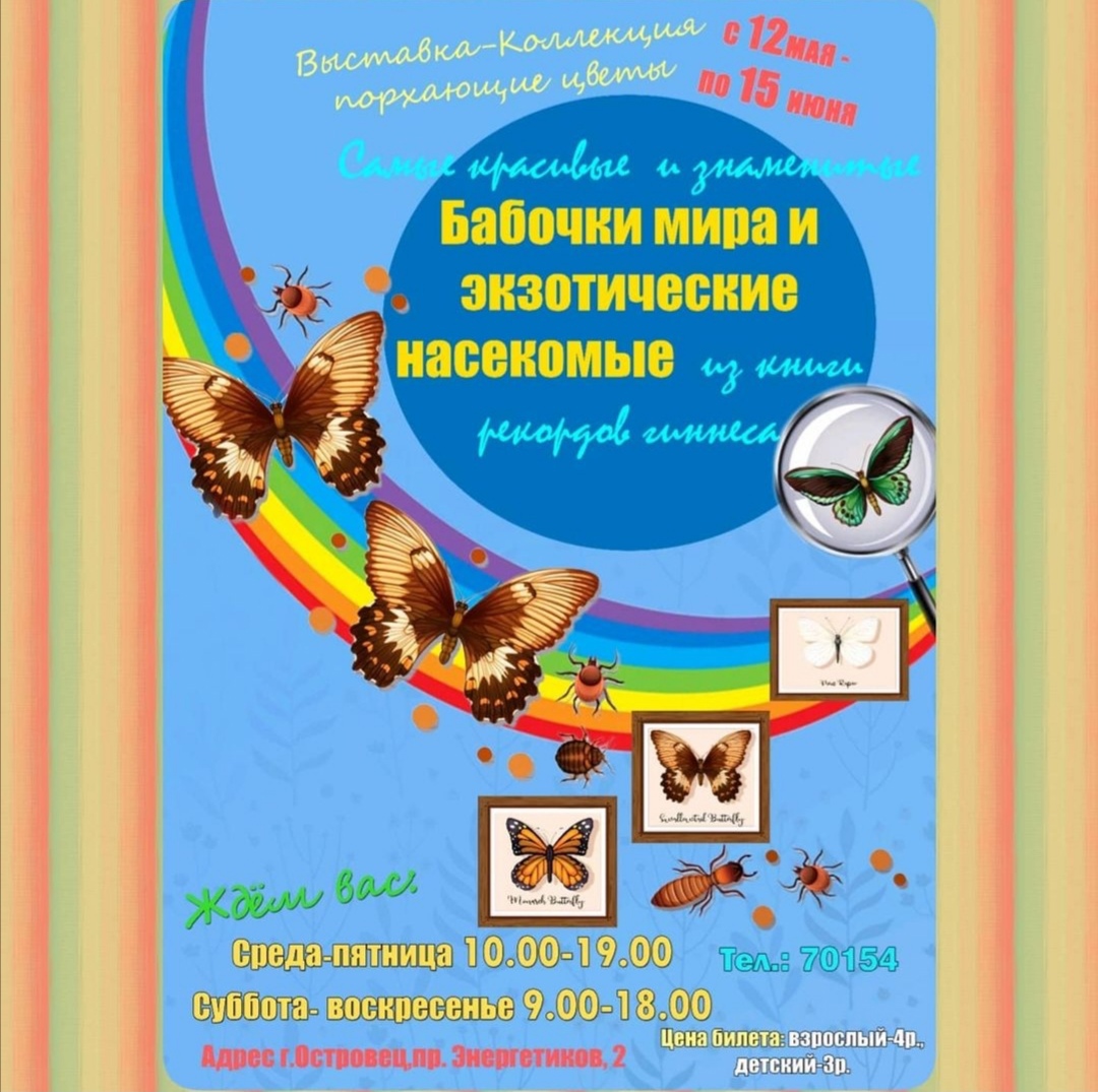5jCBnZYVLYU