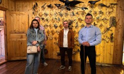 HVRJ2231